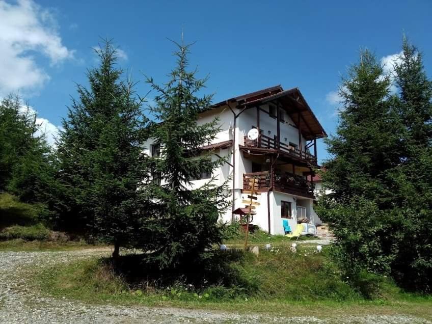 Casa De Vacanta Two Brothers Concept Păltiniş Exterior foto