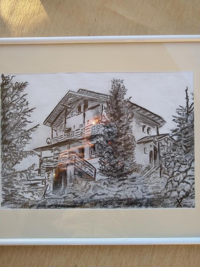 Casa De Vacanta Two Brothers Concept Păltiniş Exterior foto